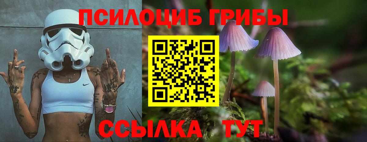 купить   Галлюциногенные грибы мухоморы  Псилоцибиновые грибы Cubensis  Вход с VPN  Улан-Удэ 